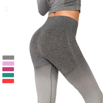 China Antibacterial Wear Seamless Slim Active Workout Tights Compression Gaiters Yoga Color Gym Pants for sale