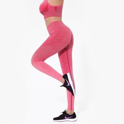 China Newest Antibacterial Sports Gym Wear Womens Seamless Yoga Leggings With Custom Logo for sale