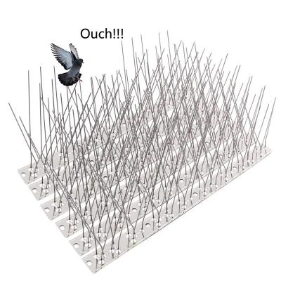 China Durable Custom Stainless Steel Squirrel Snake Deterrent Nails Pigeon Spikes Bird Control Anti Spikes for sale