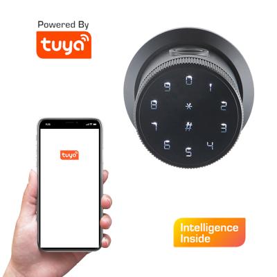 China Alarm Entry Exit Around Electronic TTlock App Fingerprint Door Lock Digit Button Smart Home Office for sale