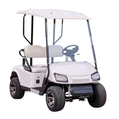 China LNA 48v 10inch battery operated electric golf carts 3KW 2 seater alloy wheel for sale