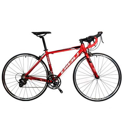 China Hot Selling 6061 Alloy 2*7 Speed ​​Light Recycling Racing Aluminum Alloy 700c Multispeed Road Bicycle for sale