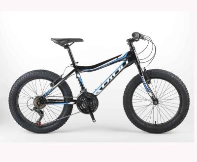 China Cruiser bicicleta 20*3.0 21 Speed ​​Steel Fat Bike V Brake 20 Inch Fat Beach Snow Kid Bike Fat For Teenager for sale