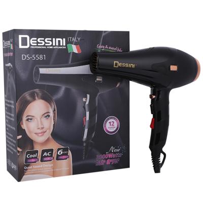 China DESSINI New Style AC Motor Ionic Heat And Cool Setting Professional Ionic Hair Dryer Hair Dryer for sale