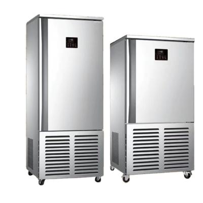 China High-Quality Single-Temperature, High-Efficiency Refrigeration All-Stainless Steel 10 Pans With Green Refrigerants Ce-certified Freezer For Better for sale