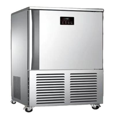 China Single-temperature 10 Minus 80 Degree Fast Freezer Chocolate Compact Impact Freezer Trays 315L Freeze Freezer for sale