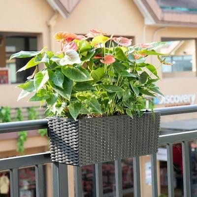 China Brice Gardening Modern Self Watering Pot Rectangular Outdoor Plastic Maceta Flower Rectangle Garden Window Planter Box For Plants for sale