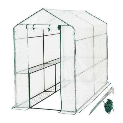 China Easily Assembled Outdoor Portable Greenhouse Mini Walk In 3 Tier 12 Shelves Small Green Racks Shelf House For Herb And Flower for sale