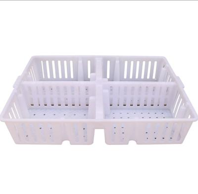 China Farms High Quality Baby Chick Crate Chick Transport Crate For Hatching Farms zu verkaufen