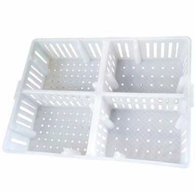 China Farms Hot Sale Baby Chick Transfer Crate Plastic Chick Crate For Farms zu verkaufen