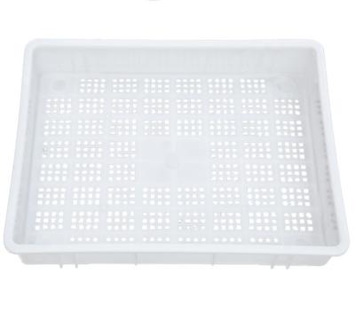 China Sustainable Wholesale White Plastic Cold Room Storage Basket For Fruit Vegetable Farms for sale