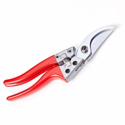 China V8 fruit pruning gardening scissors tree scissors bonsai scissors 01 for sale