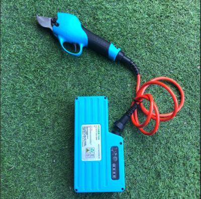 China Anti-skid handle quick to board the garden shears 3cm professional electric shears for horticulture for sale