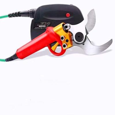 China OEM Anti-Slip Garden Lithium Shears 2in Dropshipping Electric Telescopic Handle Shears for sale