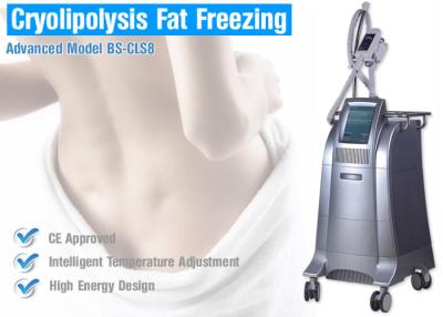 Κίνα Παχύς εξοπλισμός Sculpting σώματος παγώματος Cryolipolysis για την αναδιαμόρφωση/το αδυνάτισμα σώματος προς πώληση