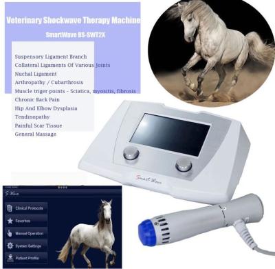 China High Energy Equine Shockwave Machine Aluminum Alloy Carton Box for sale