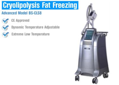 China Helada gordo ardiente gordo de Cryolipolysis que adelgaza la máquina, máquina gorda de la cavitación para las mujeres de los hombres en venta