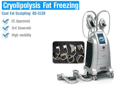 China Multifunktions-Cryolipolysis-Körper, der Maschine, fetten einfrierenden Körper abnimmt Ausrüstung abnimmt zu verkaufen