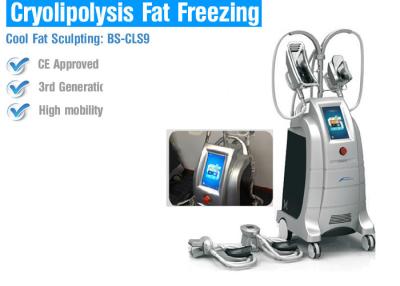 Chine Machines de perte de Cryolipolysis de sécurité grosses, grosse machine de contournement de congélation de corps à vendre