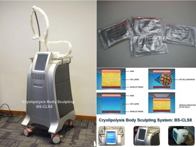 China Vet van het het Lichaamsvermageringsdieet van Vorstcryolipolysis de Machine Vet Brandend Materiaal met het Koelen Technologie Te koop