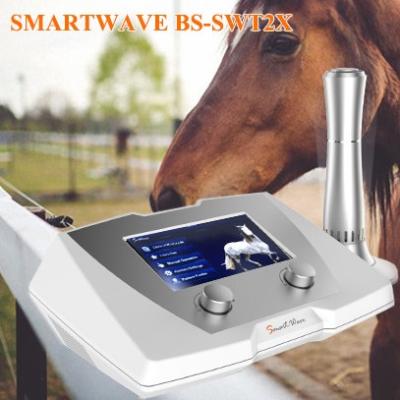 China 110V - 220V Equine Shockwave Machine High Energy Carton Box for sale