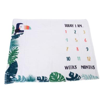 China Custom Anti-pilling Super Soft Comfortable Newborn Printed Growth Wrap Baby Milestone Flannel Fleece Blanket for sale