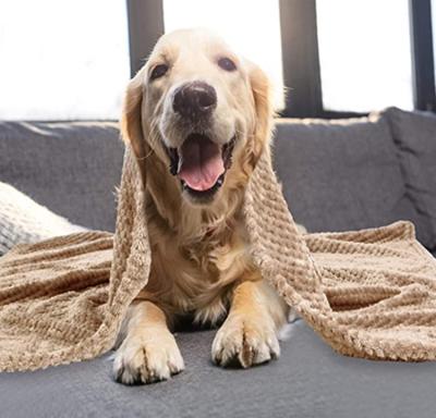 China 2022 Dog Blanket Breathable Super Soft And Comfortable Waffle Blankets Blanket Flannel Fleece Blanket For Dog for sale