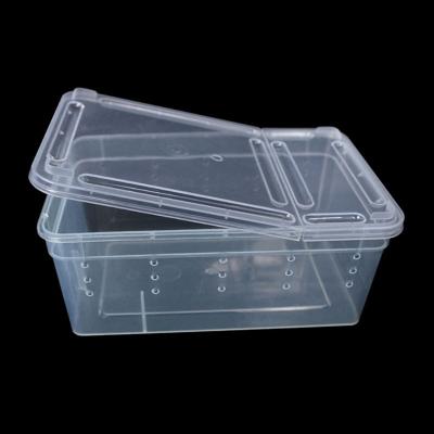 China Transparent Home Breeding Live Food Feeding Box Plastic Box Insect Reptile Transport for sale