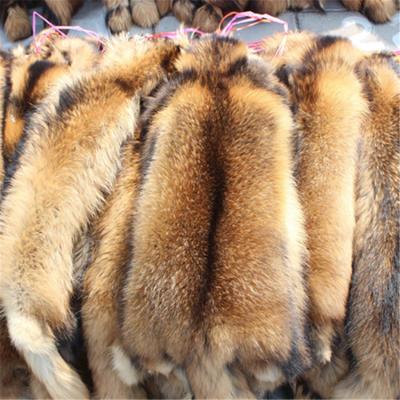 China Raw Fur Raccoon Fur Garment Trim For Hood Collar Use Real Tan Skin Raw Raccoon Fur Raccoon Fur Trim for sale