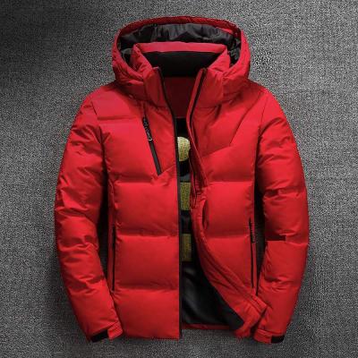 China Winter Duck Parka Male Men White Winter Men Anti-Wrinkle Coat Jacket Casual Warm Autumn Stand Collar Puffer Thick Down Jacket With Hood for sale