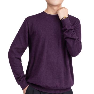 China New Men's Autumn And Winter Sweater Anti-Wrinkle Pure Merino Wool Long Sleeve Knitted Pullover T-shirt for sale