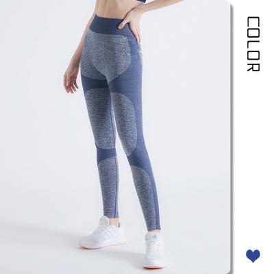 China Women's Training Pants Yoga Tights Yoga Leggings Fitness Breathable Running Wear High Waist for sale