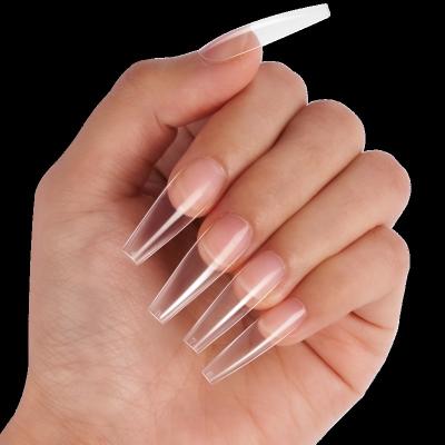 China Amazon Best Seller Design Full Cover Coffin Long Nails Ballerina Nail Tip Box 500pcs Fake Nails For Ladies for sale