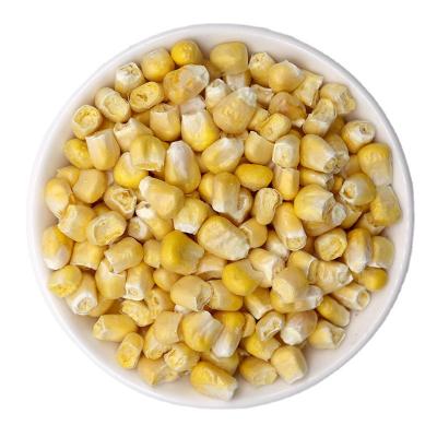 China Freeze Dried Hot Corn FROZEN FD Vegetables 2020 Articles for sale