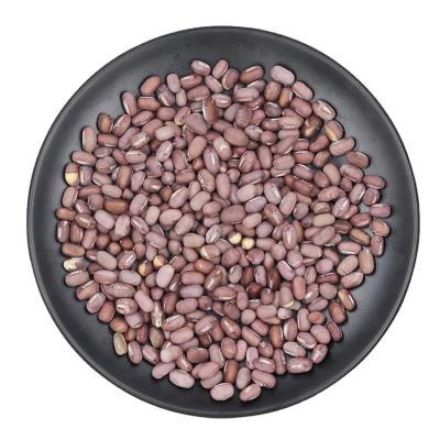 China Factory Supply Export Dried Quality Standard Freeze Dried Kidney Bean/Adzuki Bean/Vigna Angularis for sale