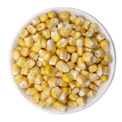 China FD Dry Hot Selling Vegetables Freeze Dried Corn for sale