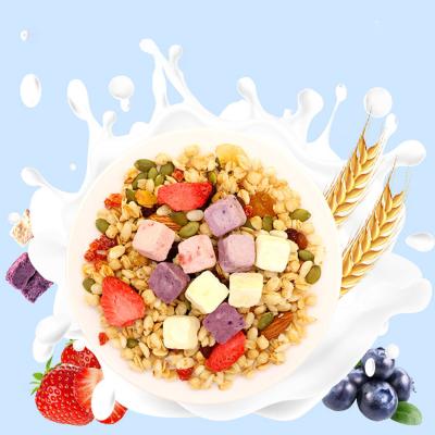 China EMO Factory Sale Various Dry Instant Fruit Oatmeal Dried Yogurt Fruit Otmeals Customized Packing Baby Food Mix Cereal Breakfast for sale