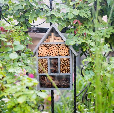 China Latest Design Multifunction Wooden Bee Insect House Breathable for sale