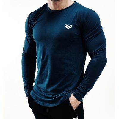 China Custom QUICK DRY Fitness Gym Logo Long Sleeve Sport Men Training Running T-Shirt for sale