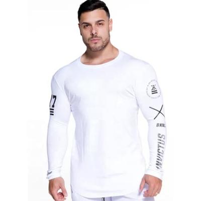 China Best Selling Custom Made Mens Full Sleeve T-Shirts Sports Single O-Collar Anti Pilling QUICK DRY Long for sale