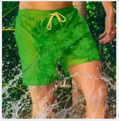 China 113gsm 100% Polyester Twill Peach Skin  Beach Pants  Waterproof Fabric for sale