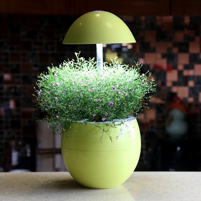 China Seed Starting Modern Bedroom Indoor Garden Herb Plant Grow Light for Laptop and Home for sale