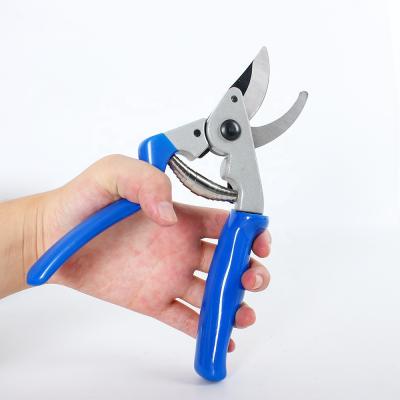 China Custom Anti-Slip Handle Plant Fruit Tree Trimming Shears Garden Pruning Branch Shears for sale