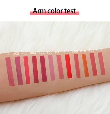 China Waterproof 12 Color Matte Lipstick Waterproof Long Lasting Auto Makeup Cosmetics 2 in 1 sexy red lipstick+lip liner pencil for sale