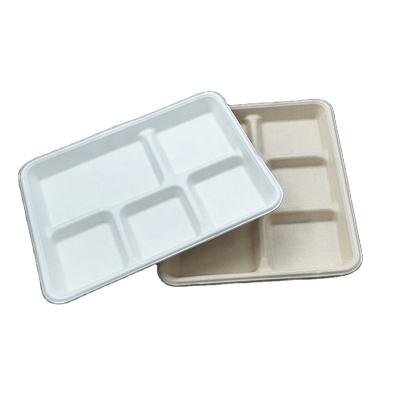 China Disposable Biodegradable Compostable Packaging Food Container Bagasse 5 Compartment Tray Plate for sale