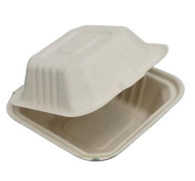 China Disposable Biodegradable Sugarcane Paper Food Packaging Disposable Biodegradable Food Container for sale