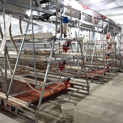 China Automatic Farms Egg Chicken Breeding Battery Design Layer Chicken Cage For Farm Equipment for sale