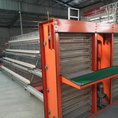 China Chicken farm cage for chicken layer egg for sale