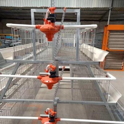 China Chicken Farm 96-128 Rows 96-128 Automatic Birds A Type Layer Cage For Farming For Sale for sale