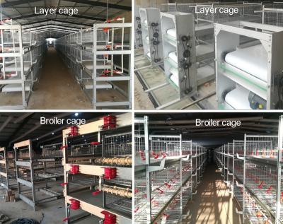 China Cultivate Automatic Broiler Chicken Cage System for sale